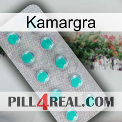 Kamargra 28